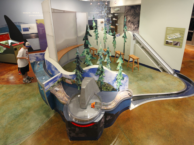 Display Inside Visitor Center of a Hatchery