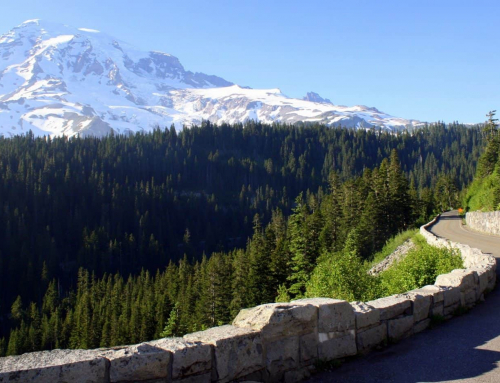 Mount Rainier National Park announces Stevens Canyon Rd status through July 5
