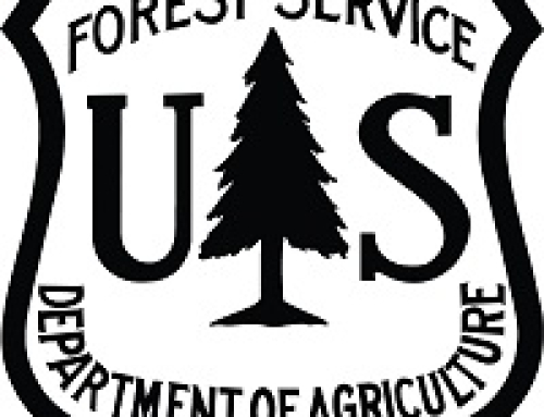 Increased fire danger prompts added fire restrictions on Gifford Pinchot National Forest